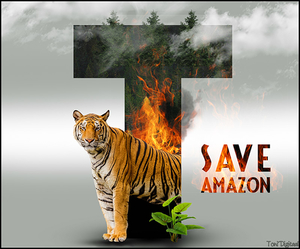 Save Amazon kopie