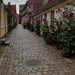 4B Ribe IMG_20240713_144558