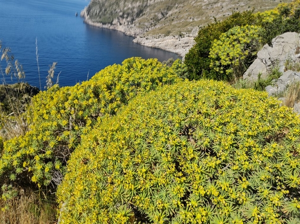 intersoc amalfikust wandelvakantie itali reisduiveltje