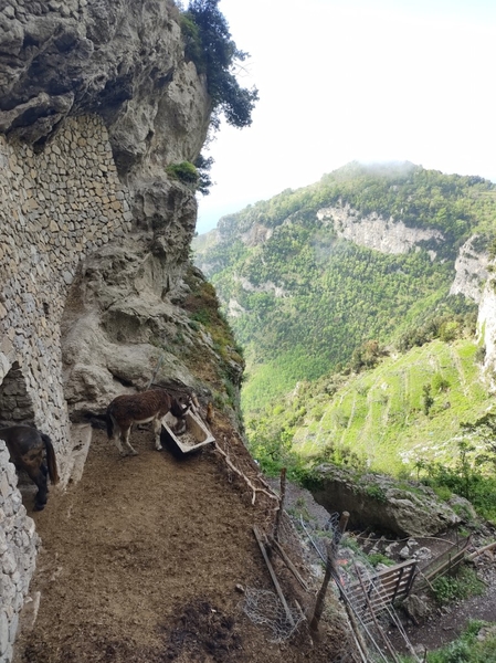 intersoc amalfikust wandelvakantie itali reisduiveltje