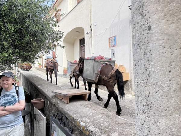 intersoc amalfikust wandelvakantie itali reisduiveltje