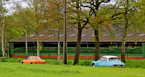 003_IMG_2360_2024-04-21_WoW_&_vvk-apen_VW-KARmann-Ghia_oranje___C