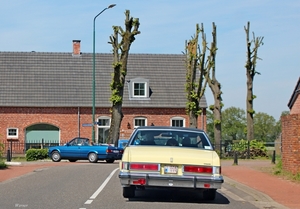 H11_IMG_2667_2024-05-12_vvk-Lommel_RT-rit_onderweg_BMW___Olds_1-O