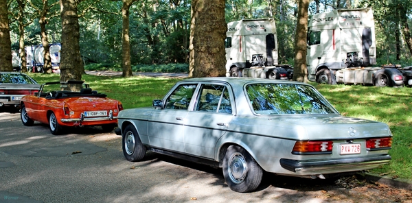 L14_IMG_8498_vvk-Apen_vertrek_Mercedes-sedan_grijs_PXW-726___MGB_