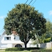 L48_IMG_8526_vvk-apen_onderweg_wit-huis&BooM