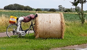 L56_20240727_160720_vvk-Antwerpen-Wenduine_Zuienkerke_Fiets-ongev