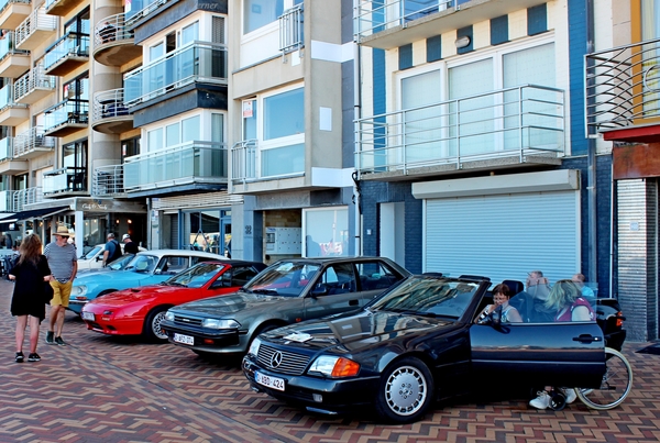 L57_IMG_8532_vvk-apen_@Wenduine_op-den-dijk-geparkeerd