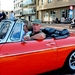 L60_IMG_8541_vvk-apen_@Wenduine_MGB_oranje_1-OBP-761
