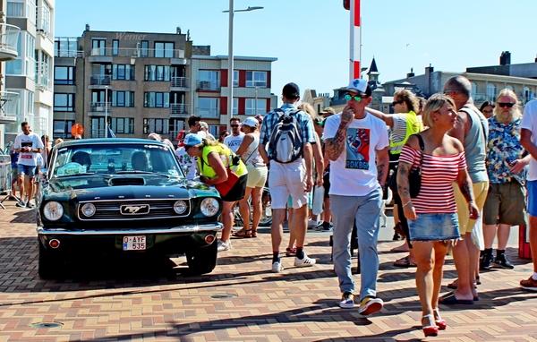 L61_IMG_8592_vvk-apen_aankomst-Wenduine_Ford-Mustang_groen_O-AYF-