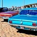 L64_IMG_8686_vvk-apen_Ford-Mustang_blauw_1-OZA-684