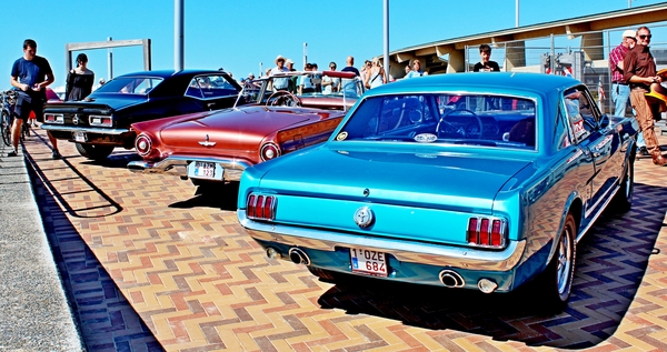 L64_IMG_8686_vvk-apen_Ford-Mustang_blauw_1-OZA-684