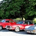 P23_IMG_0359_vvk-Mechelen_Beren_2024-09-12-do_Han_ook-parking