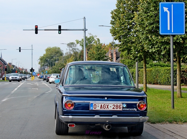 Q17_IMG_0688_2024-09-22_vvk-Apen_Grenslandrit_Stabroek_BMW-2502-t