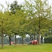 Q49_IMG_0745_2024-09-22_vvk-Apen_Grenslandrit_Hollandse-namaak-ko