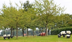 Q49_IMG_0745_2024-09-22_vvk-Apen_Grenslandrit_Hollandse-namaak-ko