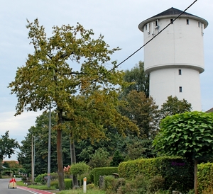 Q56_IMG_0755_2024-09-22_vvk-Apen_Grenslandrit_ligfiets@watertoren