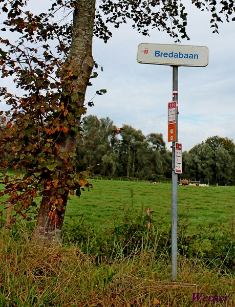 R16_IMG_1176_2024-10-06_vvk-Mech_Smokkelroute_onderweg_Nogn-Breda