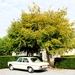 R42_IMG_1221_2024-10-06_vvk-Mech_Smokkelroute_Strijbeek_Mercedes-