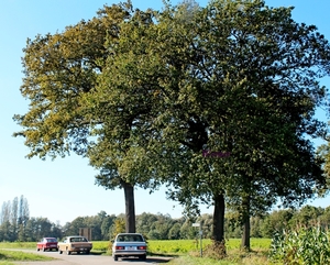 R51_IMG_1242_2024-10-06_vvk-Mech_Smokkelroute_onderweg_MG_Mus_Mer