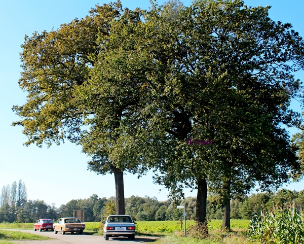 R51_IMG_1242_2024-10-06_vvk-Mech_Smokkelroute_onderweg_MG_Mus_Mer