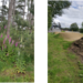 Afbeelding1