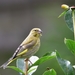 image00001