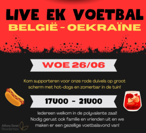 Schermafbeelding 2024-06-22 195843