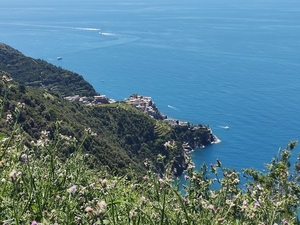 IMG_20240518_122804516