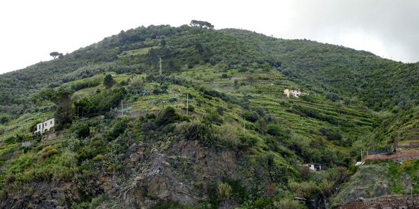 intersoc cinque terre reisduiveltje italie italia