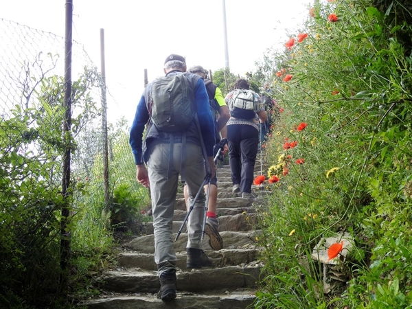 intersoc cinque terre reisduiveltje italie italia