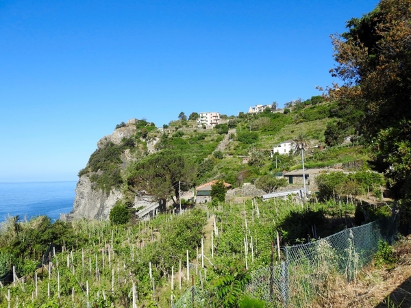 intersoc cinque terre reisduiveltje italie italia