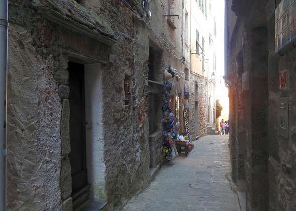 intersoc cinque terre reisduiveltje italie italia