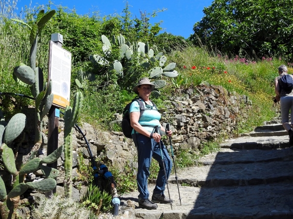 intersoc cinque terre reisduiveltje italie italia