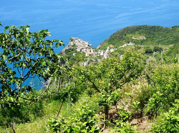 intersoc cinque terre reisduiveltje italie italia