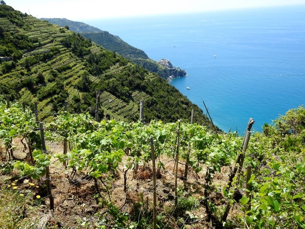 intersoc cinque terre reisduiveltje italie italia