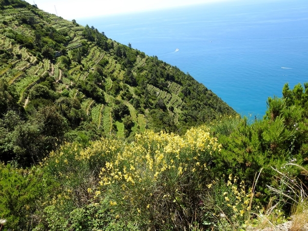 intersoc cinque terre reisduiveltje italie italia