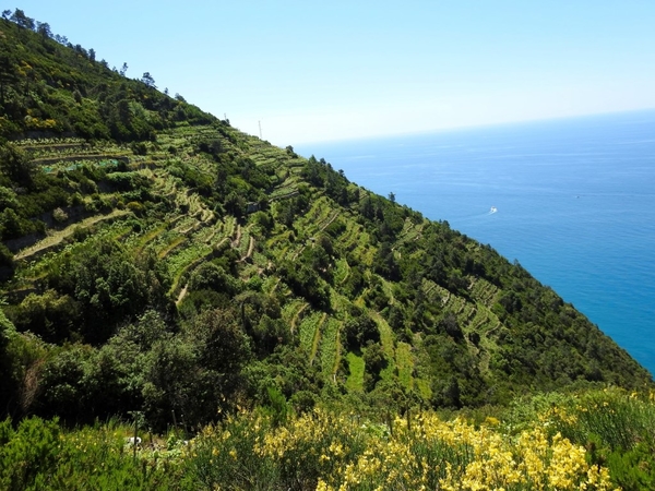 intersoc cinque terre reisduiveltje italie italia