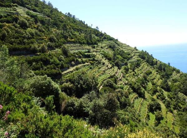 intersoc cinque terre reisduiveltje italie italia