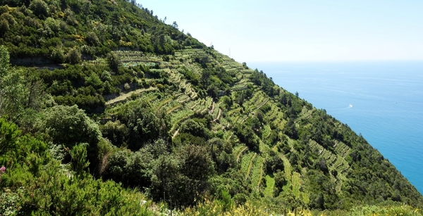 intersoc cinque terre reisduiveltje italie italia