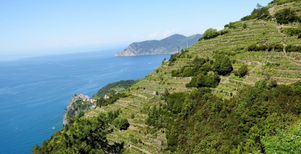 intersoc cinque terre reisduiveltje italie italia