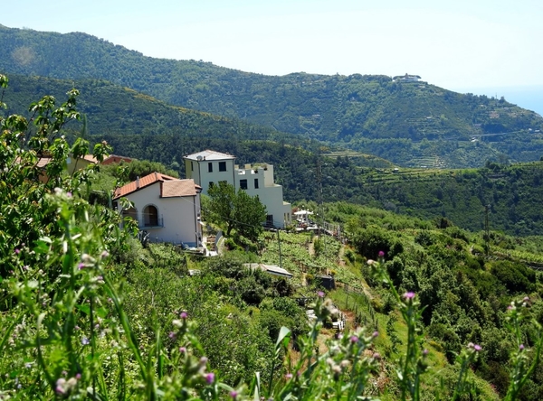 intersoc cinque terre reisduiveltje italie italia