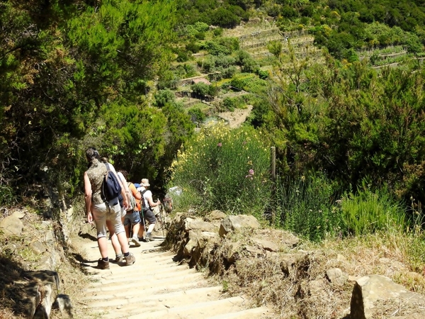 intersoc cinque terre reisduiveltje italie italia