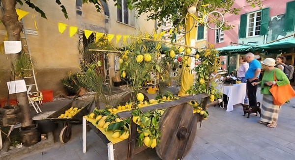 intersoc cinque terre reisduiveltje italie italia