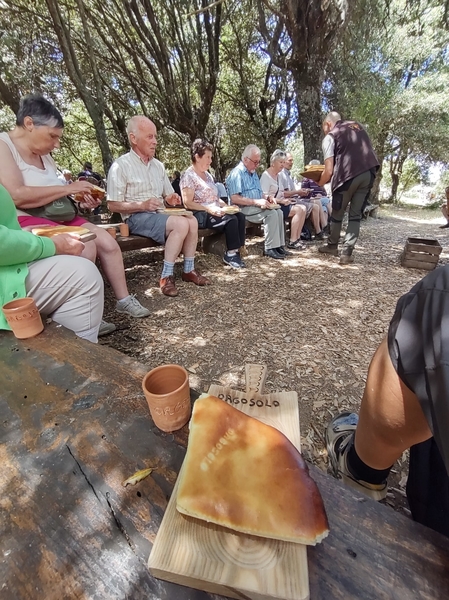 intersoc sardini reisduiveltje italie cultuurvakantie