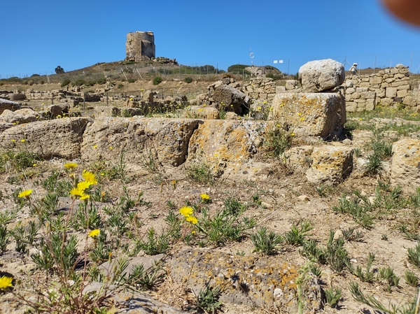 intersoc sardini reisduiveltje italie cultuurvakantie