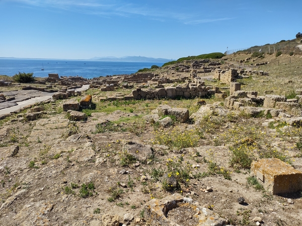 intersoc sardini reisduiveltje italie cultuurvakantie