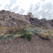 IMG_20240616_093944566_HDR