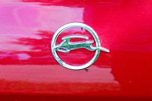 IMG_5402_Kaffee&Karossen_Chevrolet-impala_rood&wit_EIN-0701_ROTVL