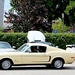 IMG_5419_Kaffee&Karossen_Ford-Mustang_geel___Honda-S2000-wit