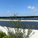 Dessel - Groeve Donk 49